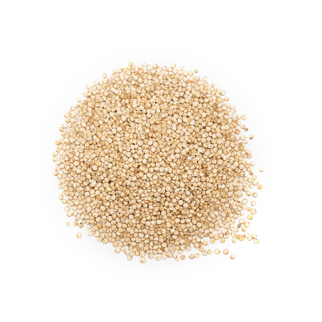 Quinoa alba