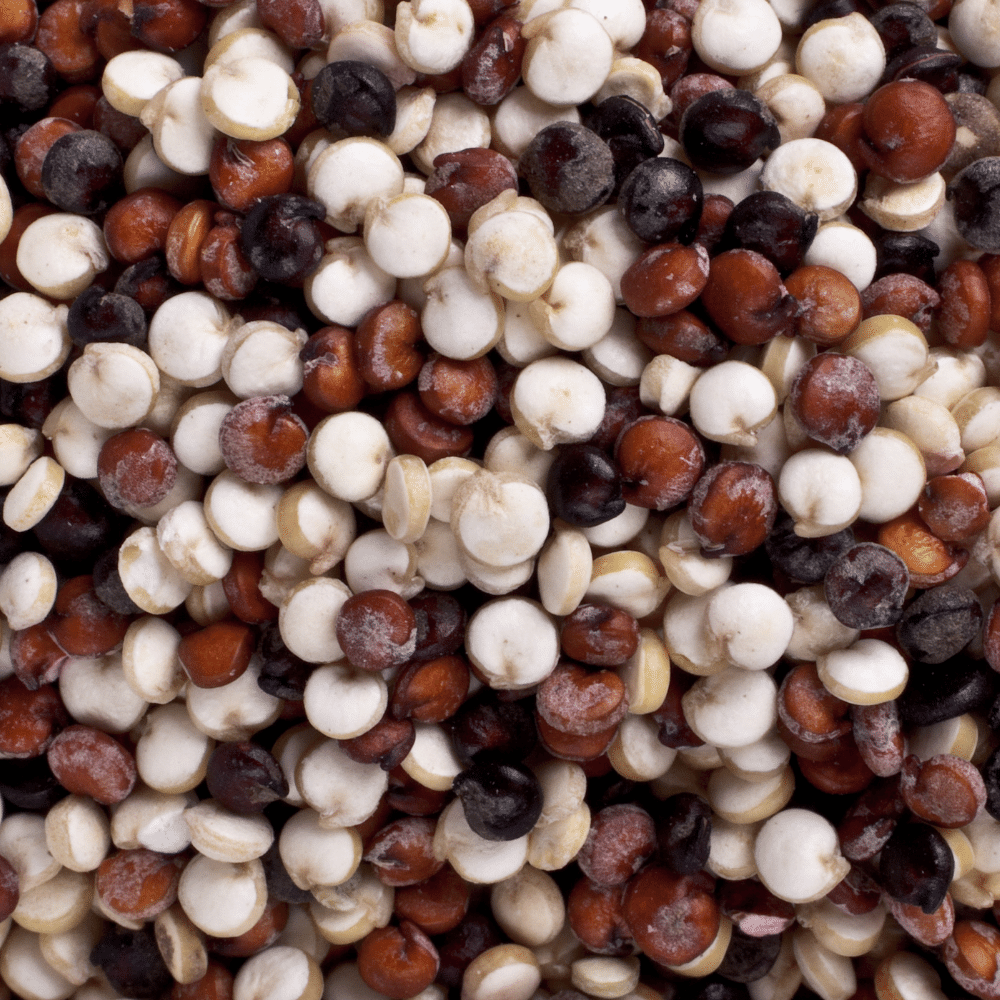 Quinoa tricolor